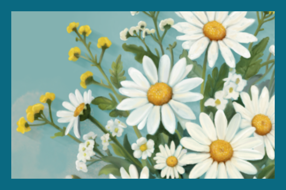 Carousel Oboe and Daisies Illustration